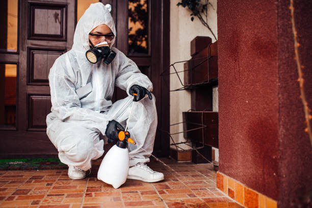 Reliable Bed Bug Control contractor in Ocean City, NJ by Nex Pest Control