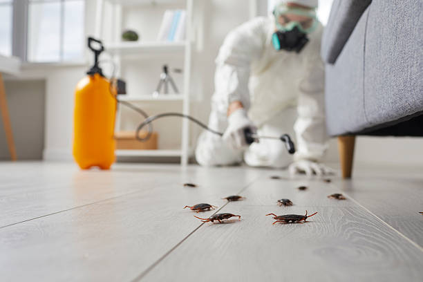 Trusted Termite Control service in Ocean City, NJ - Nex Pest Control