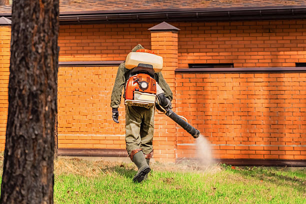 Trusted Cockroach Control service in Ocean City, NJ - Nex Pest Control